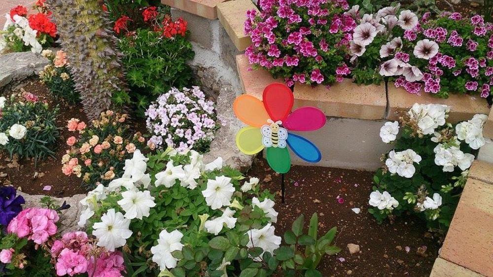 Il Mirto E La Rosa Acomodação com café da manhã Arenella  Exterior foto